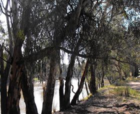 Mia Forest Drives Narrandera - Accommodation ACT 0
