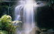 Mount Buangor State Park - thumb 0