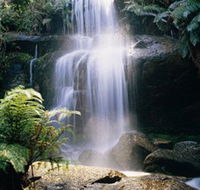 Mount Buangor State Park - Accommodation ACT