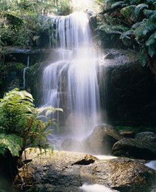 Mount Buangor State Park - Accommodation ACT 0