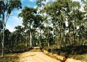  Accommodation ACT