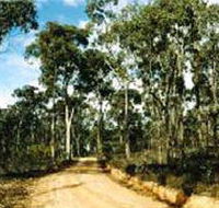 Paddys Ranges State Park - Accommodation ACT
