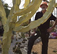 Cactus Country - Accommodation ACT