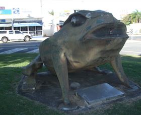 Big Cane Toad - Accommodation ACT 0