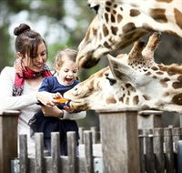 Taronga Western Plains Zoo Dubbo - Accommodation ACT