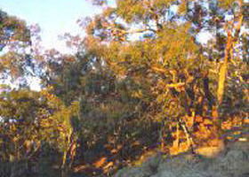 Mount Alexander Regional Park - Accommodation ACT 0