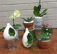 Cobram Florist - Accommodation ACT