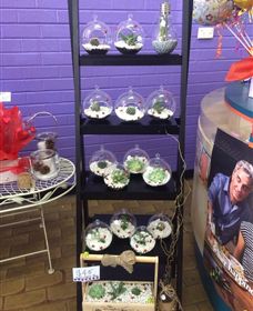 Cobram Florist - Accommodation ACT 3
