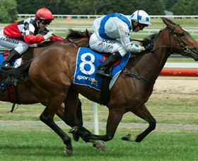 Ballarat Turf Club - Accommodation ACT 3