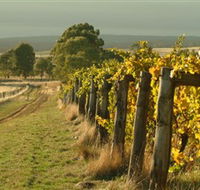 Captains Creek Organic Wines - Accommodation ACT
