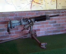 Woodpecker Gun - Accommodation ACT 0