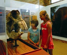 Australian Museum Diprotodon Exhibition - Accommodation ACT 0