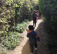 The Tangled Maze  Mistydowns Nursery - Accommodation ACT