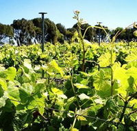 Basalt Wines - Accommodation ACT
