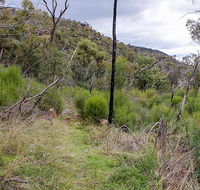 Lynchs loop trail - Accommodation ACT