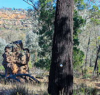 Eualdrie walking track - Accommodation ACT