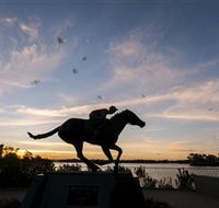 Black Caviar Statue - Accommodation ACT