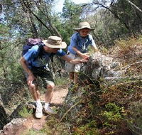 Mount Arthur Reserve - Accommodation ACT