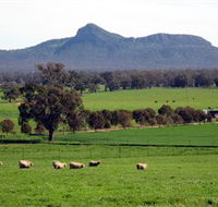 The Rock Nature Reserve - Accommodation ACT