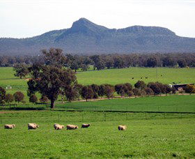 The Rock Nature Reserve - Accommodation ACT 0