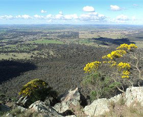The Rock Nature Reserve - Accommodation ACT 4