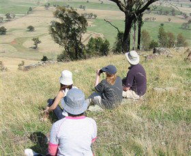 The Rock Nature Reserve - Accommodation ACT 2
