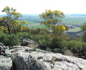The Rock Nature Reserve - Accommodation ACT 6