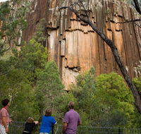 Sawn Rocks walking track - Accommodation ACT