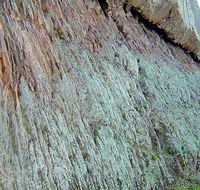 The Rock Nature Reserve - Kengal Aboriginal Place - Accommodation ACT