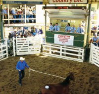 Gracemere Exhibition Complex - Accommodation ACT