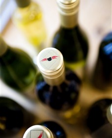 Charles Sturt University Winery Wagga Wagga - Accommodation ACT 2