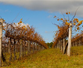 Charles Sturt University Winery Wagga Wagga - Accommodation ACT 3