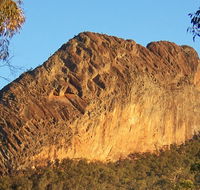 Kaputar scenic drive - Accommodation ACT