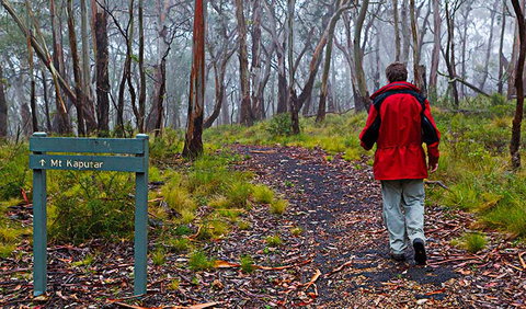 Mount Kaputar Summit Walk - Accommodation ACT 2