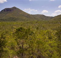 Kutini-Payamu Iron Range National Park CYPAL - Accommodation ACT