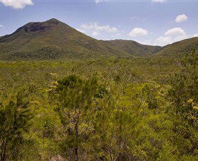 Kutini-Payamu (Iron Range) National Park (CYPAL) - Accommodation ACT 0