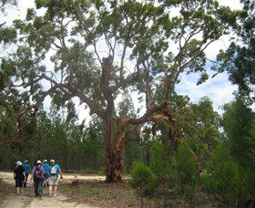 Balfours Peak NSW Accommodation ACT