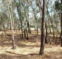 Chiltern-Mt Pilot National Park - Accommodation ACT