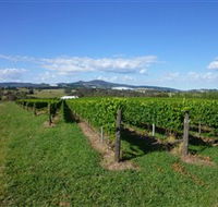 Hedberg Hill Wines - Accommodation ACT