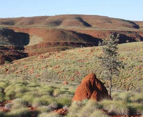 Camel Trail, Millstream-Chichester National Park - Accommodation ACT 0