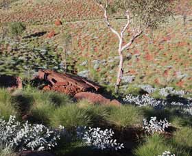Camel Trail, Millstream-Chichester National Park - Accommodation ACT 2