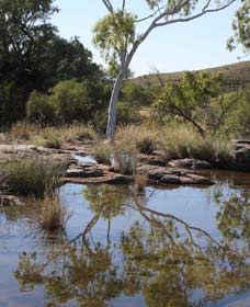 Camel Trail, Millstream-Chichester National Park - Accommodation ACT 3