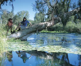 Millstream Chichester National Park - Accommodation ACT 1