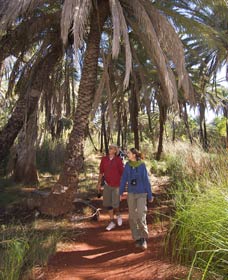 Millstream Chichester National Park - Accommodation ACT 2