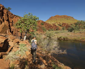 Millstream Chichester National Park - Accommodation ACT 3