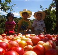 Bonny Glen Fruits - Accommodation ACT