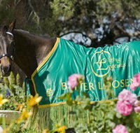 Living Legends The International Home of Rest for Champion Horses - Accommodation ACT