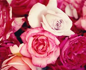 Samaria Farm - Accommodation ACT 1