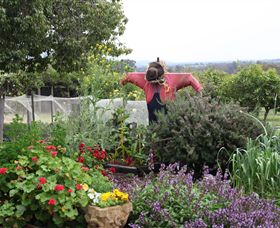 Samaria Farm - Accommodation ACT 4