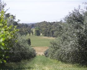 Samaria Farm - Accommodation ACT 7